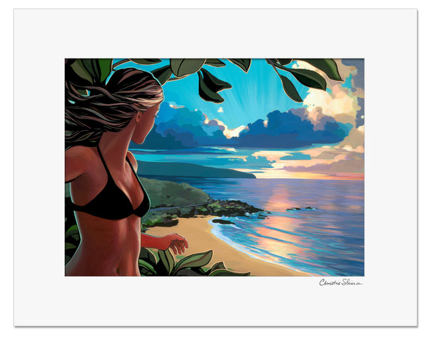 ABOVE WAIMEA – Shinn Studio