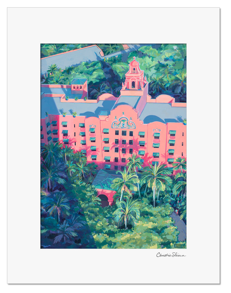 ABOVE WAIMEA – Shinn Studio