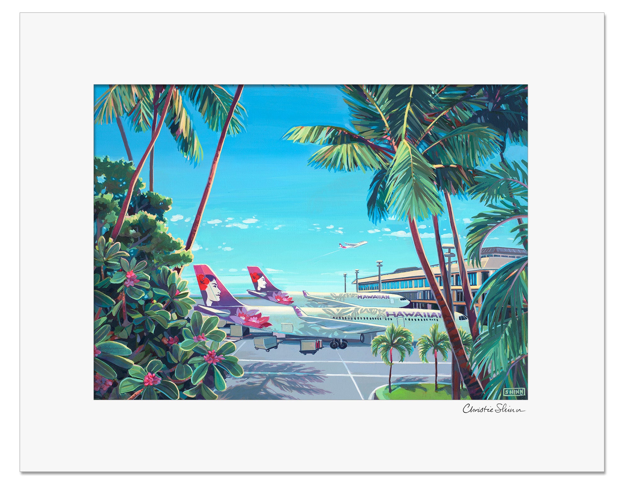 ABOVE WAIMEA – Shinn Studio