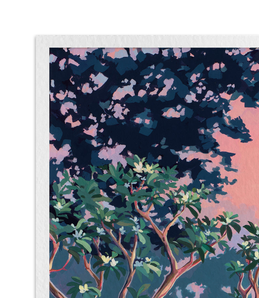 "Backyard Sunset"