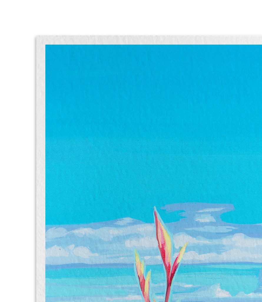 "Diamond Head Cliffs"