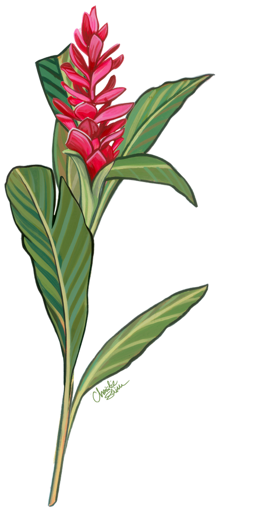 Sticker - any size