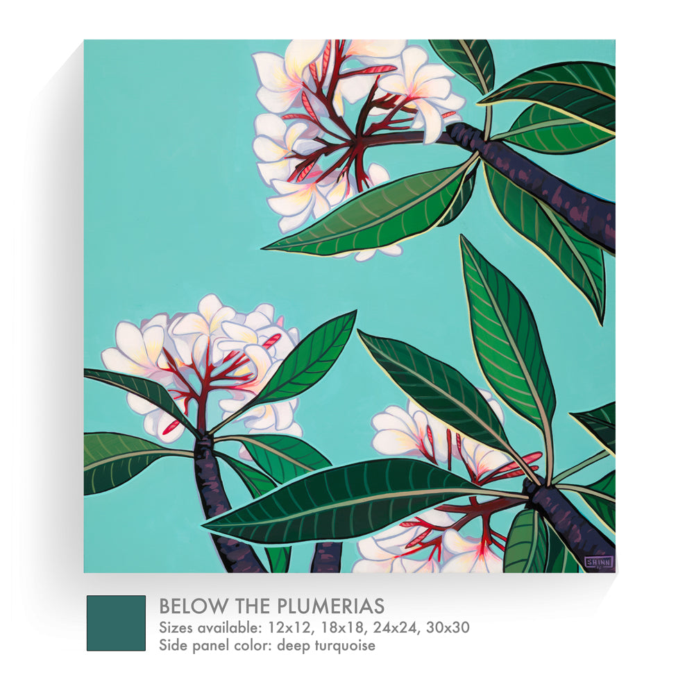 BELOW THE PLUMERIAS